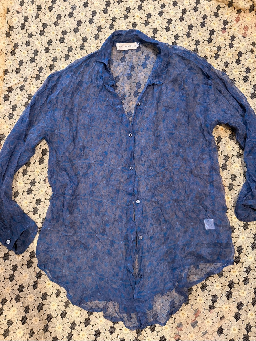 Johnny Was silk sheer button down